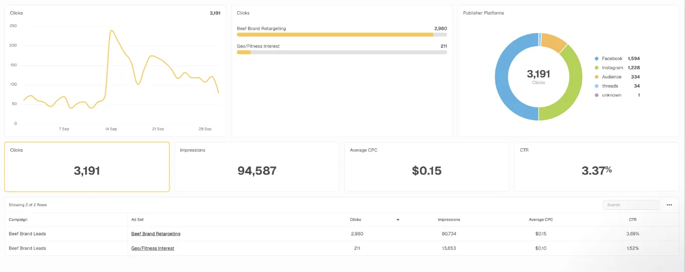 Campaign dashboard overview: clicks, impressions, click-through rate and conversions over time