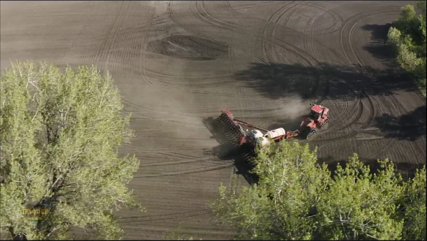 Still from the Thunder Seed commercial