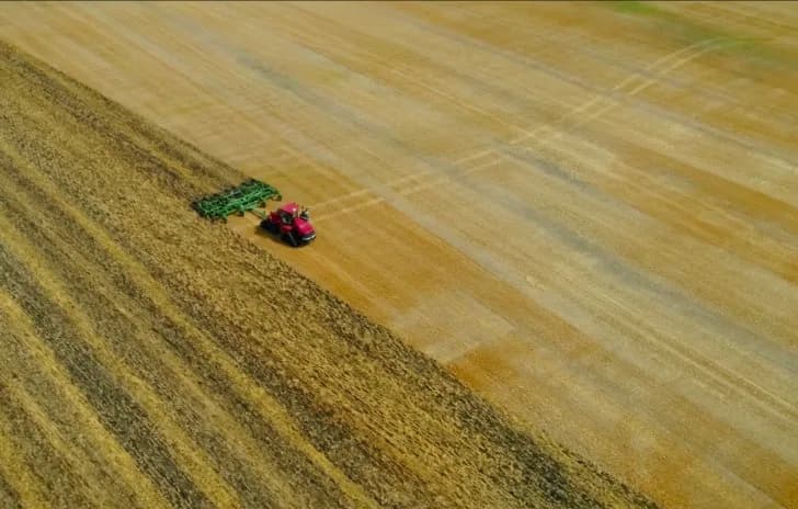 Still from the Thunder Seed brand film