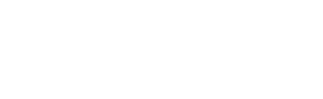 wallwork logo white web