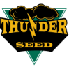 Minot, Nd Marketing Services Thunder Seed Logo Spotlight Fargo