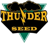 A Logo With Yellow Letters And A Green Triangle