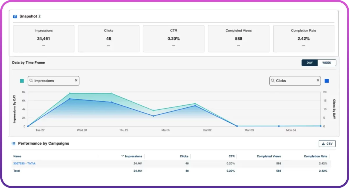 Tiktok Advertising Tiktok Performance Reporting