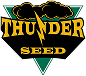 Social Media Management Thunderseedlogo 1